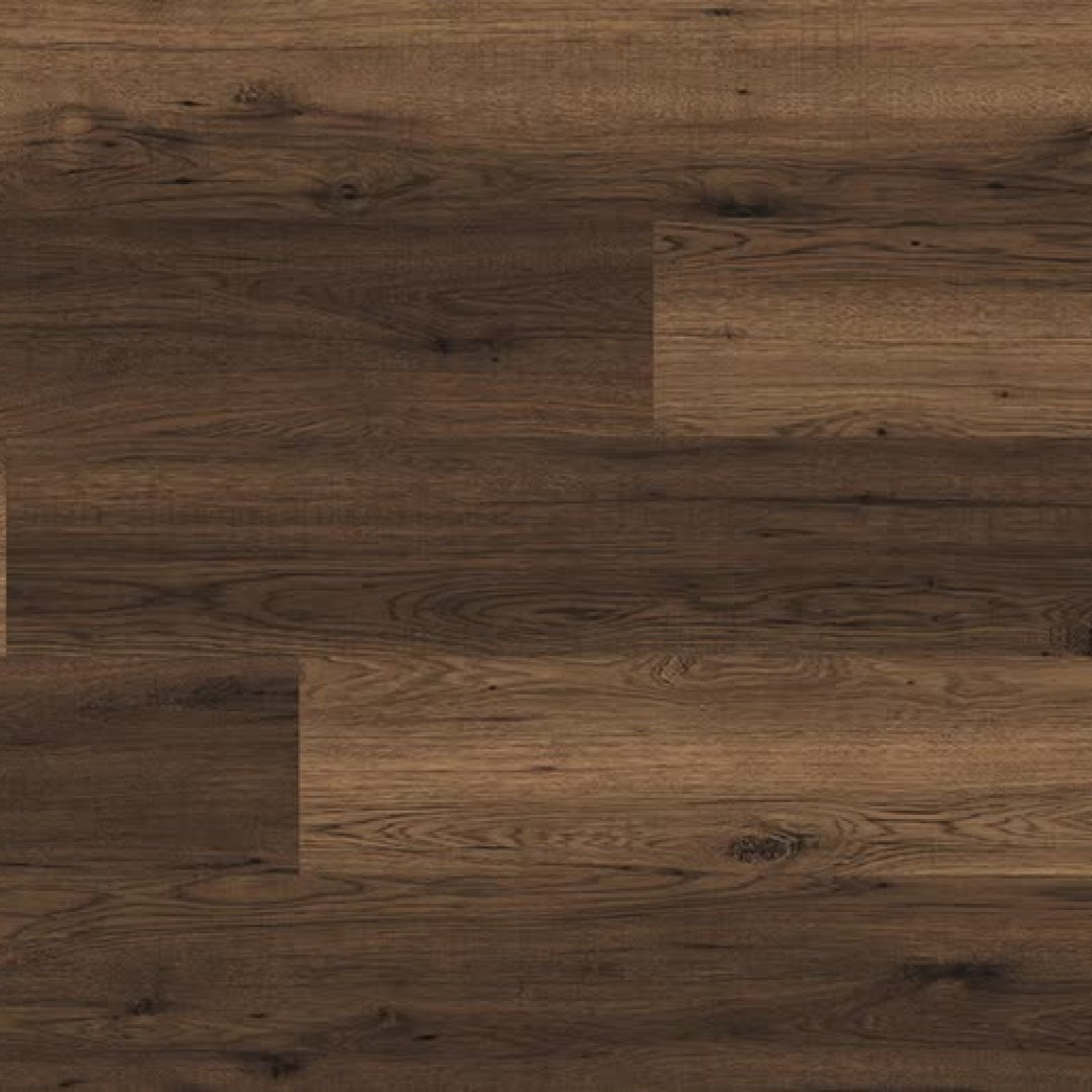 K2215 Hickory Lowa