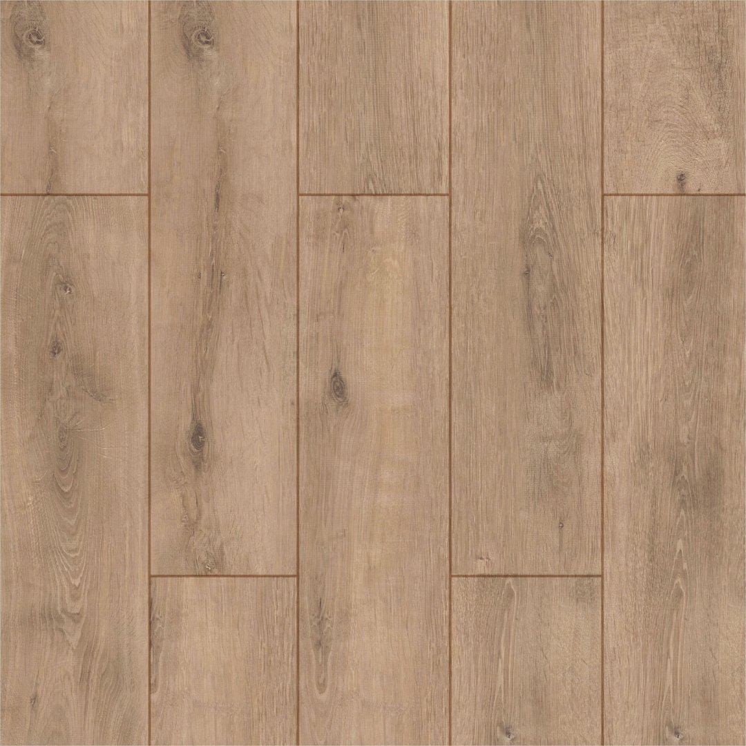 Sakarya Oak