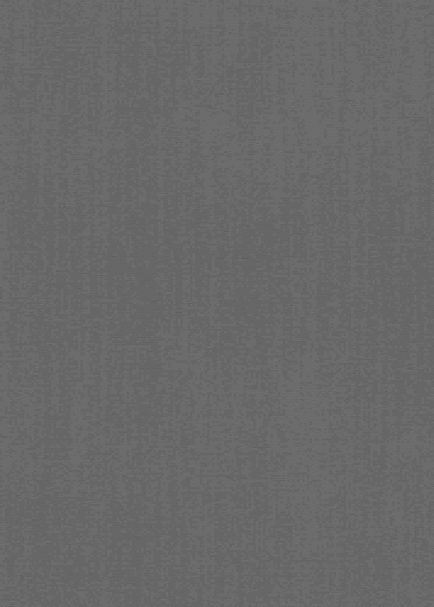 Erismann Spotlight & Crispy Duvar Kağıdı 12073-15 10m2
